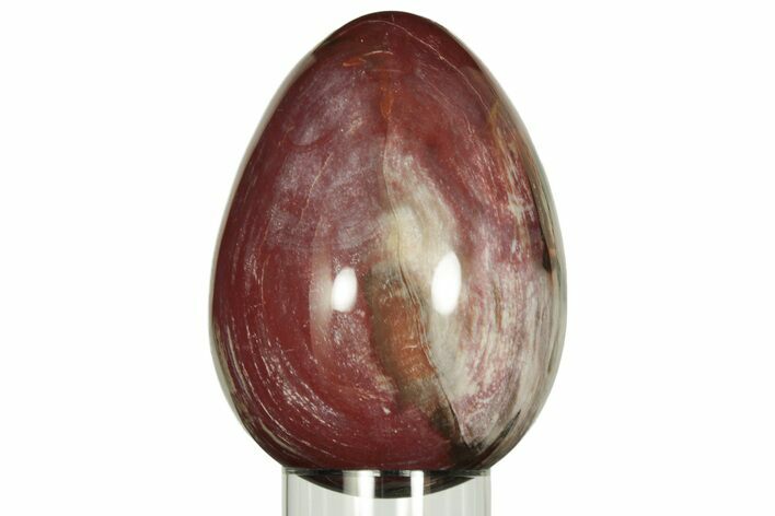 Colorful, Polished Petrified Wood Egg - Madagascar #211142